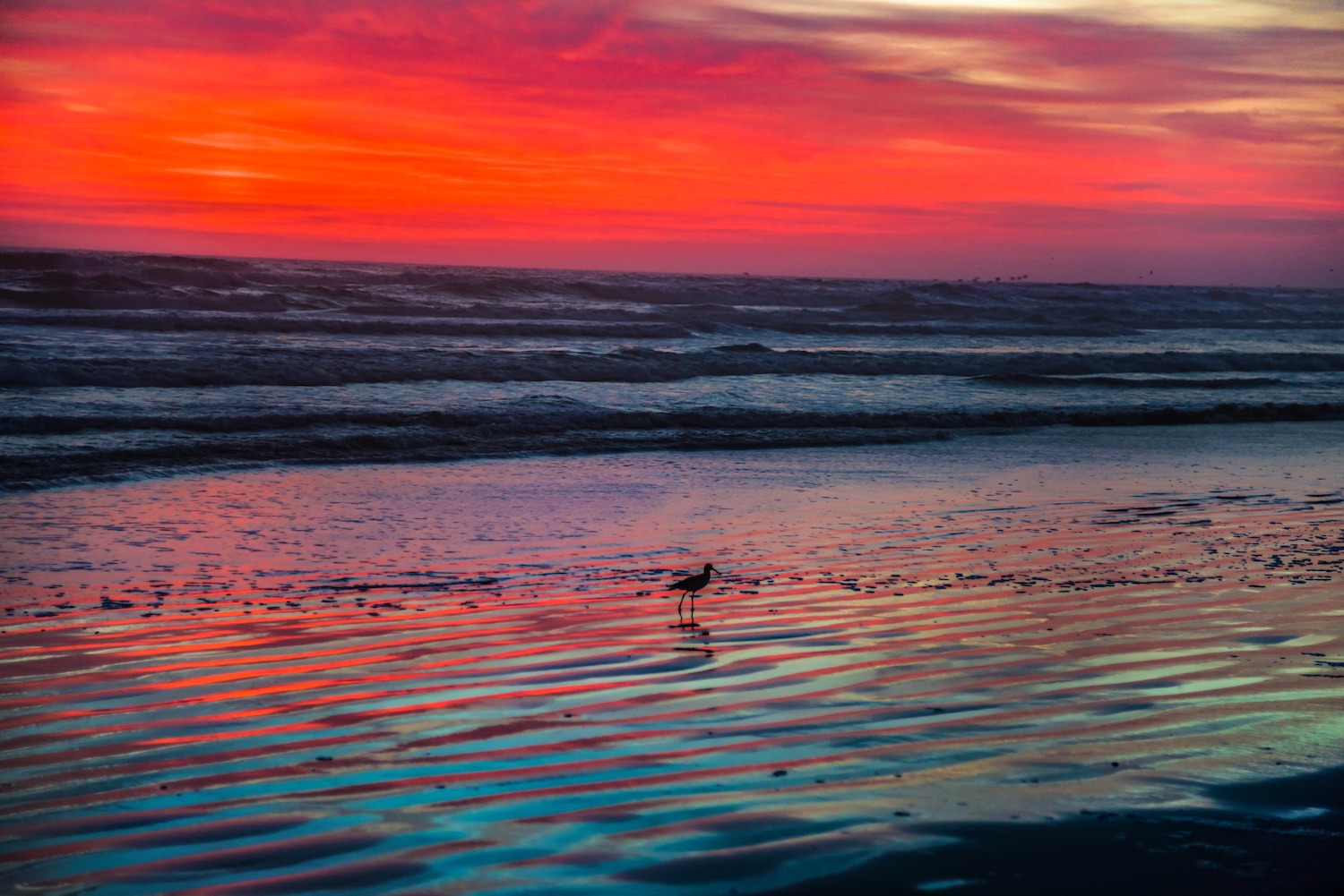 Live in Melbourne Beach FL