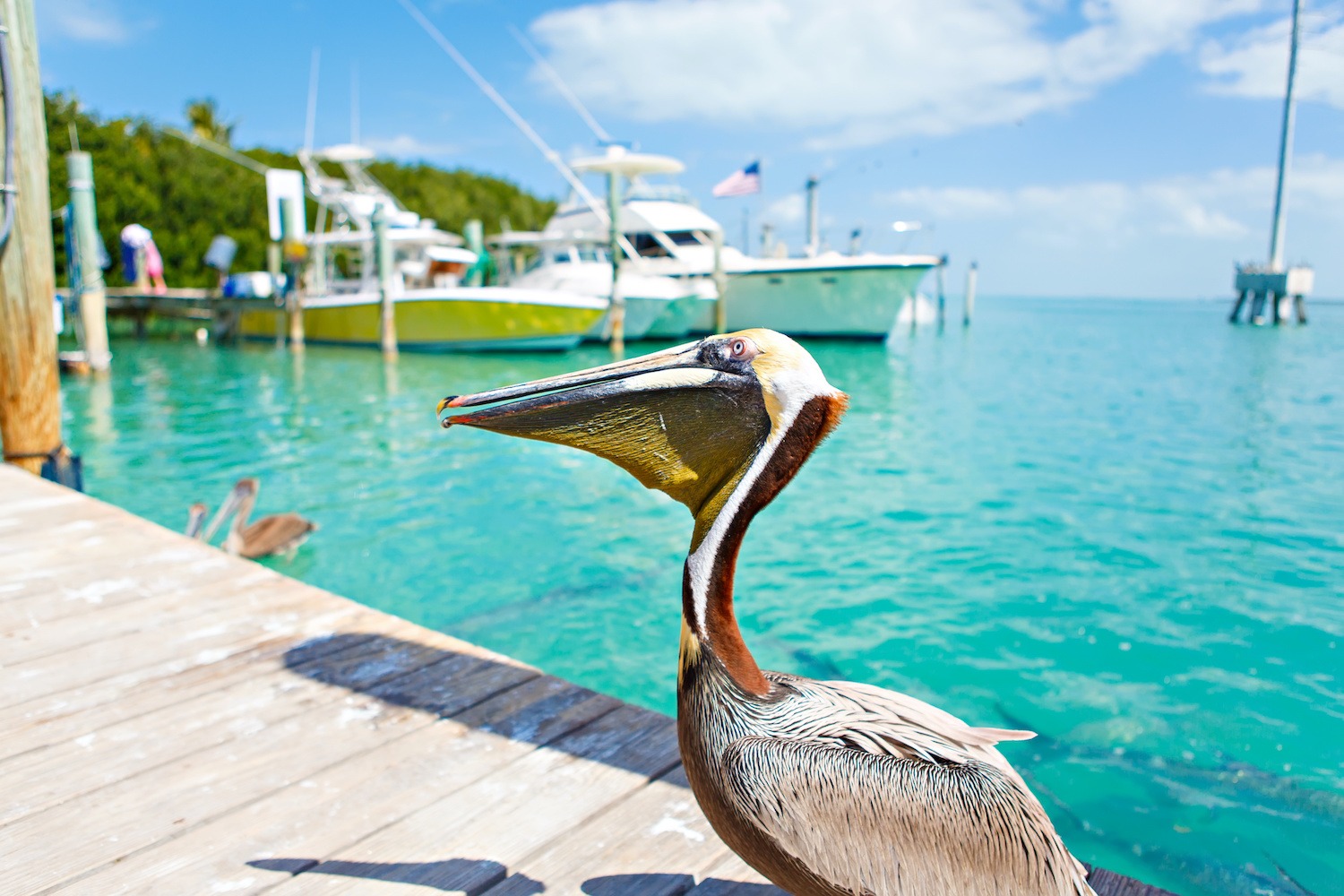 Move to Islamorada Florida Keys